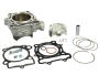Zylinder für Kawasaki KX 250 F 2004-2008 - Suzuki RM-Z 250 2004-2006 290ccm