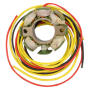 Lichtmaschine für KTM EXC SX MXC XC XC-W 125 150 200 250 300 380 450 250 50 Watt Stator