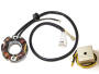 für KTM Lichtmaschine 50 Watt Stator mit Regler 250SX-F, 400-450-525-540-560