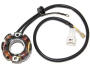 für KTM Lichtmaschine 50 Watt Stator mit Regler 250SX-F, 400-450-525-540-560