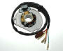 Stator KTM 300MXC/EXC