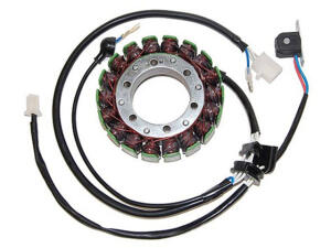 Lichtmaschine für Yamaha XV1100 Virago Power Stator
