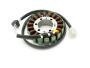 Stator for Ducati Monster S4, Monster S4R, Sport Touring ST2 / ST4, ST4S