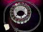 Stator Triumph Tiger 955 alternator