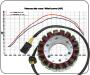 Lichtmaschine für BMW F800ST Power Stator