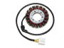 Lichtmaschine für Honda CBF1000 SC64 Baujahre 2006 - 2009