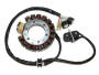 Lichtmaschine für Yamaha YFM 350 Warrior 87-89