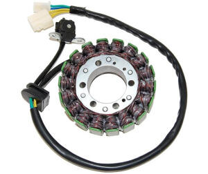 Stator ESG748 Hayabusa