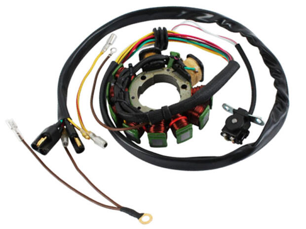 Lichtmaschine Polaris Magnum 425 Sportsman 400 /  500