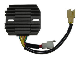 Regler Ducati Superbike 1098 R / Bayliss Powerregler