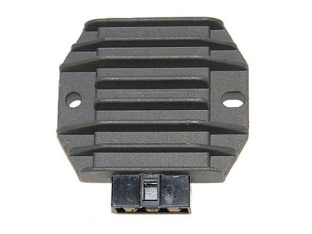 Regler für Suzuki DR650 Powerregler