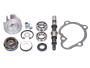 Reparaturkit Wasserpumpe für Kymco Modelle 250-300 LC Motoren