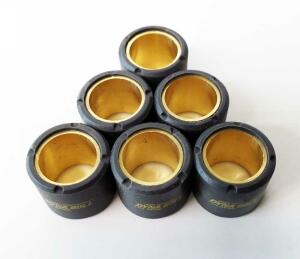 Rollenkit 25x22,2 20gr 6 Variorollen Aprilia Kymco Malaguti Piaggio SYM