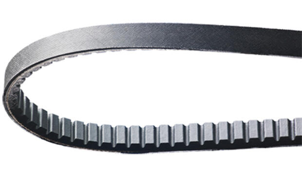 Keilriemen JINLUN JL QT-4 4T 10 (QMB139 - carter corto) 50 Antriebsriemen Bando