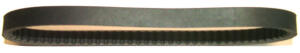 Keilriemen JINLUN JL QT-4 4T 10 (QMB139 - carter corto) 50 Antriebsriemen Bando