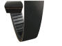 Keilriemen JINLUN JL QT-4 4T 10 (QMB139 - carter corto) 50 Antriebsriemen Bando