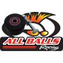 All Balls Racing Kettenrolle für Yamaha YFM 660 R / YFM 660R mit Kugellager wasserdicht