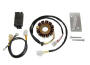 Lichtmaschine Stator Hi Power Kit für KTM 450/525 EXC MXC Modelle - 250W