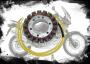 Lichtmaschine für HONDA Africa Twin XRV750 RD04 RD07 RD03 Alternator XRV 650 RD03