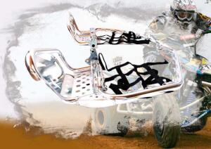 Nerfbars mit Heelguards Pro SX Suzuki LTZ 400 bis 2008