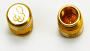 Valve Caps Silver Gold anodized