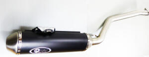 Auspuff Yamaha Grizzly YFM 660