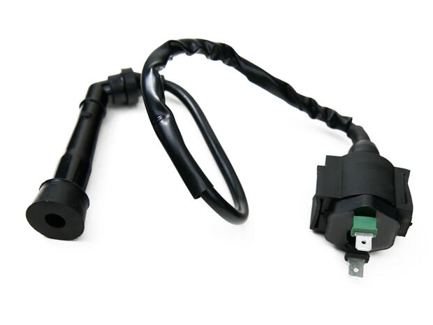 Zündspule für SMC Barossa Derbi 250 / 300 Stinger Titan Captain