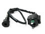 Zündspule für Rex 250 Quad ATV