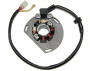 ESL239 Electrosport lighting stator KTM 125-300 SX from 2006 to 2007