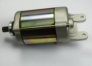 Anlasser E-Ton Vector 250 / 300