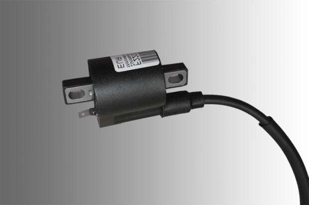 Zündspule für Beeline Bestia 5.5 / Online X 5.5