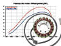 Stator Can-Am Outlander / Max Renegade 330 400 450 500 570 650 800 850 1000 / R