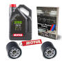 Kundendienstset 10W40 4liter Öl  2x Ölfilter für TGB Blade Target 425 525 550