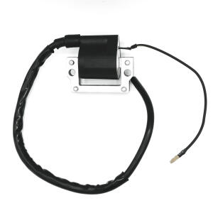 Coil assy ignition 6Volt XT 500 / 250