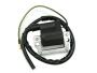 Zündspule für Yamaha XT 500 6 Volt OEM Typ