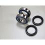 All Balls wheel bearings kit front Kymco Maxxer 250 / Kymco KXR 250 Quad