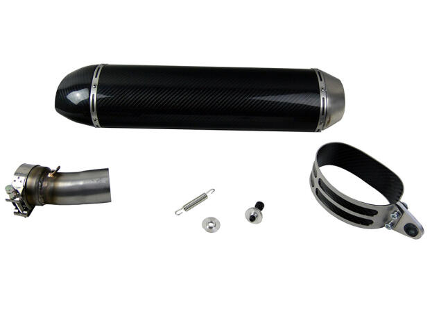 Auspuff für BMW F 800 S 08-16 Carbon