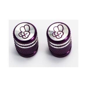 Valve Caps Anodized Purple