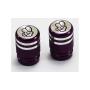 Valve Caps Anodized Purple