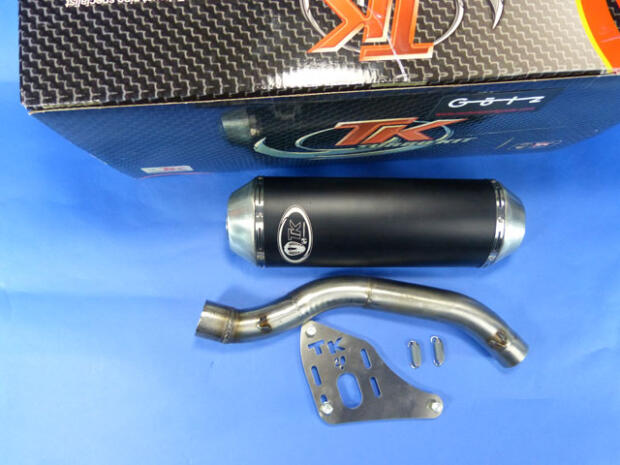 Auspuff für Suzuki LTZ 400 / Kawasaki KFX 400 / Arctic Cat DVX 400 Slip On