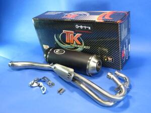 Auspuff für Shineray X4 300 STE mit ABE Carbon mit Krümmer