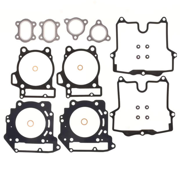 Dichtungssatz für Aprilia ETV Capo Nord/RSV Mille SL Tuono Falco 1000