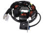 Lichtmaschine Stator Aeon Cobra 180 RS/ Overland 180