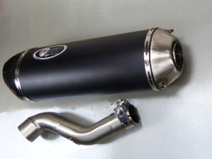 Auspuff Honda TRX 700 XX mit ABE Carbon Endtopf...