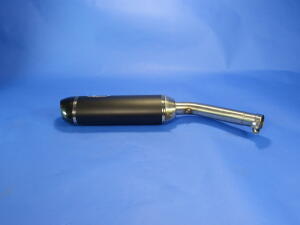 Auspuff für Honda Africa Twin XRV 650 mit ABE Carbon Endtopf Auspuffanlage