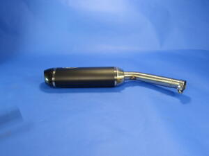 Auspuff für Honda Africa Twin XRV 650 mit ABE Carbon Endtopf Auspuffanlage