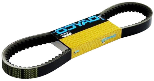 Dayco belt drive Triton Access Baja 400 / Outback 400