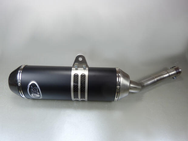 Auspuff Suzuki LTZ 400 K9 ab 2009 Carbon