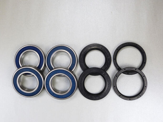 Achslager Kit hinten Shineray 250 STIXE / ST-9E von ALL-BALLS