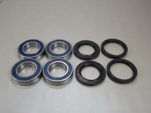 Achslager Kit hinten Shineray 250 STIXE / ST-9E von ALL-BALLS